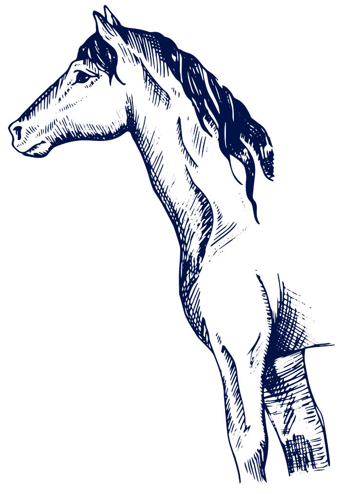 Blue Line Art Illustration of Horse